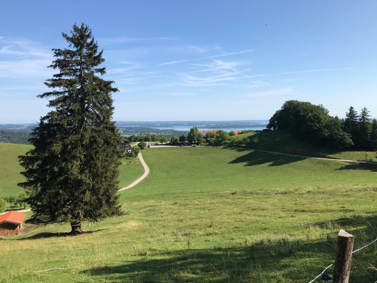 Fewo Chiemsee Spezial Aschau im Chiemgau Exteriör bild